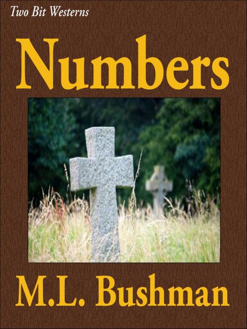 Cover of the book Numbers by M.L. Bushman, Jigsaw Press
