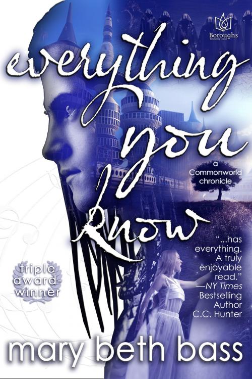 Cover of the book Everything You Know by Mary Beth Bass, Boroughs Publishing Group