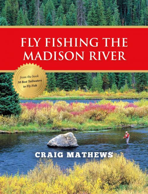 Cover of the book Fly Fishing the Madison River by Craig Mathews, Stonefly Press