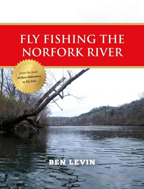Cover of the book Fly Fishing the Norfork River by Ben Levin, Stonefly Press
