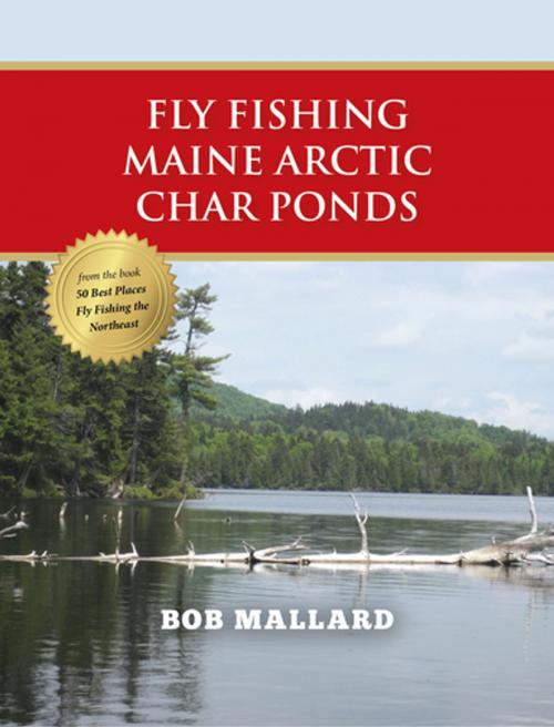 Cover of the book Fly Fishing Maine Arctic Char Ponds by Bob Mallard, Stonefly Press