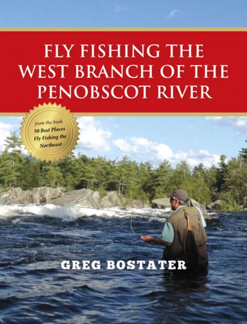 Cover of the book Fly Fishing the West Branch of the Penobscot River by Greg Bostater, Stonefly Press