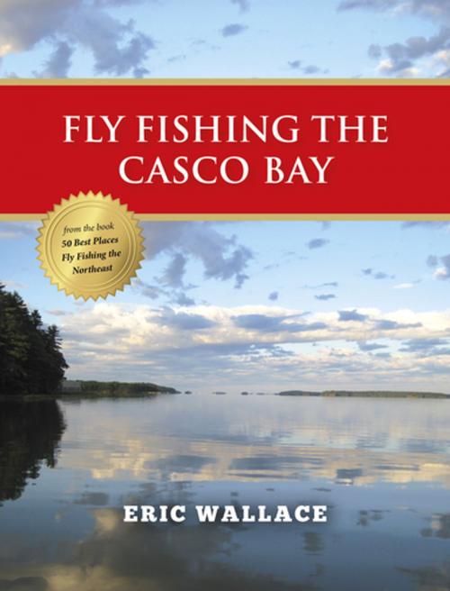 Cover of the book Fly Fishing the Casco Bay by Eric Wallace, Stonefly Press