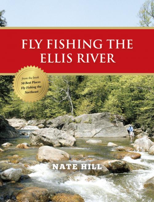 Cover of the book Fly Fishing the Ellis River by Nate Hill, Stonefly Press