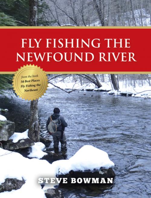 Cover of the book Fly Fishing the Newfound River by Steve Bowman, Stonefly Press
