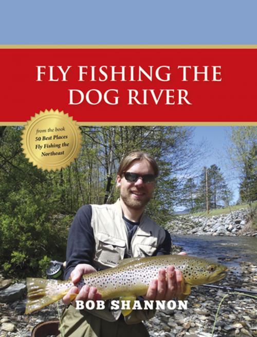 Cover of the book Fly Fishing the Dog River by Bob Shannon, Stonefly Press