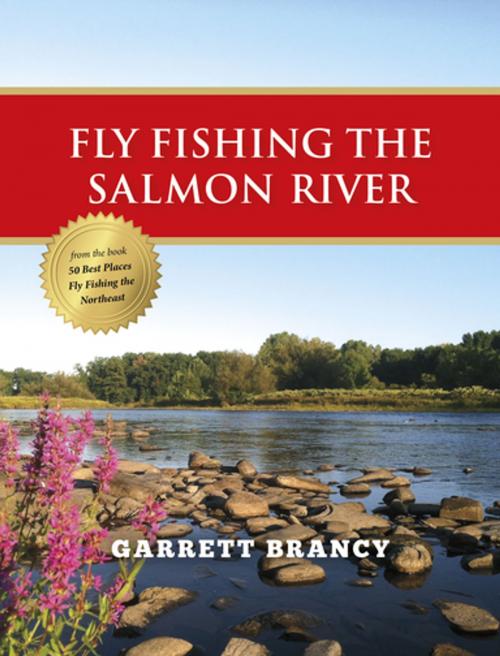 Cover of the book Fly Fishing the Salmon River by Garrett Brancy, Stonefly Press