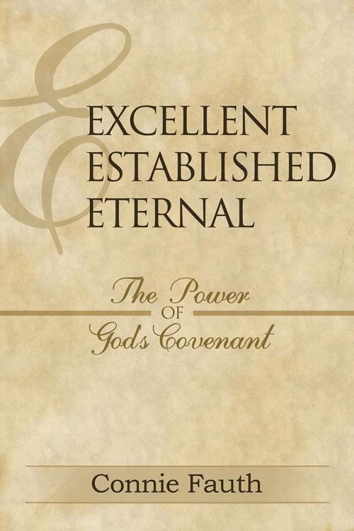 Cover of the book Excellent, Established, Eternal by Connie Fauth, Word and Spirit Publishing