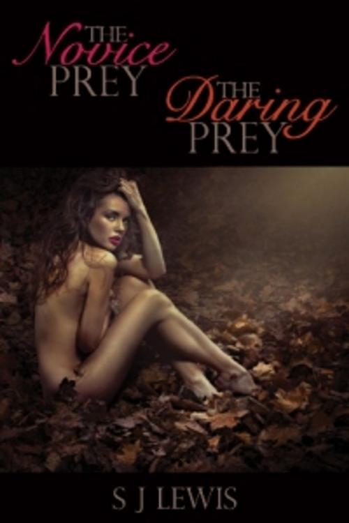 Cover of the book The Novice Prey & The Daring Prey by S J Lewis, SJ Lewis, SJ Lewis, Pink Flamingo Media