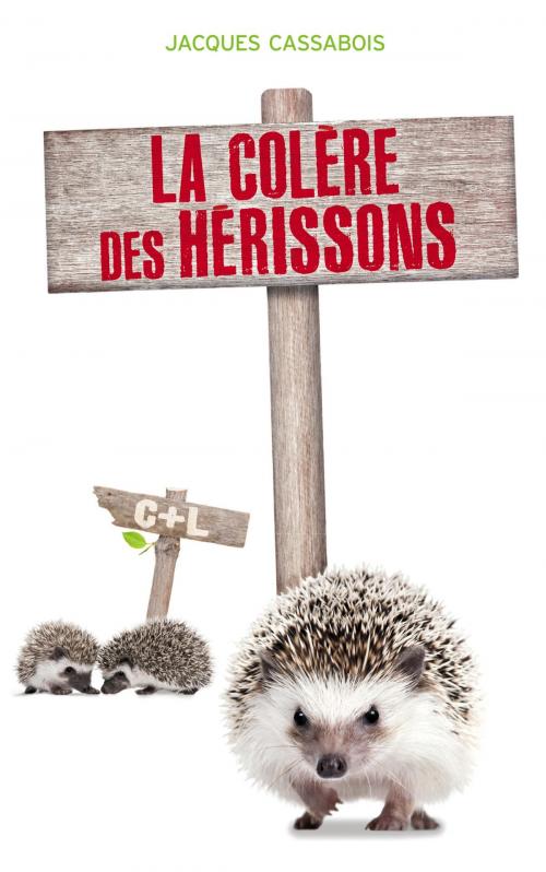 Cover of the book La colère des Hérissons by Jacques Cassabois, Hachette Romans