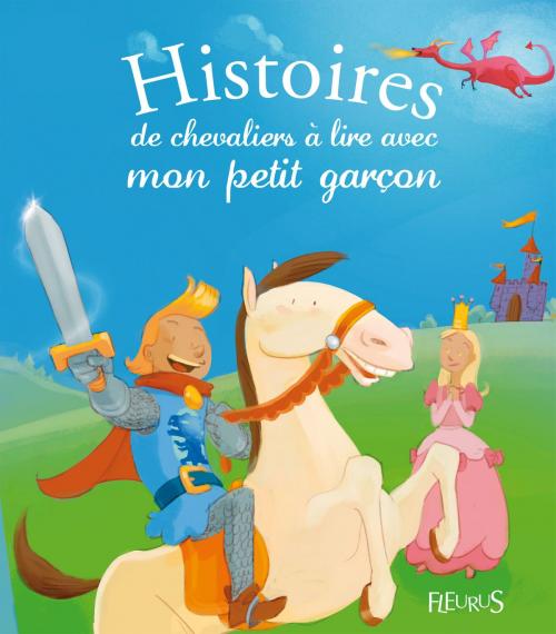 Cover of the book Histoires de chevaliers à lire avec mon petit garçon by Anne Lanoë, Charlotte Grossetête, Pascale Hédelin, Élisabeth Gausseron, Fleurus