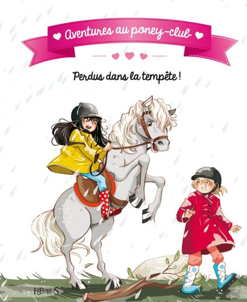 Cover of the book Perdus dans la tempête by Juliette Parachini-Deny, Olivier Dupin, Fleurus