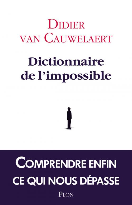 Cover of the book Dictionnaire de l'impossible by Didier VAN CAUWELAERT, Place des éditeurs