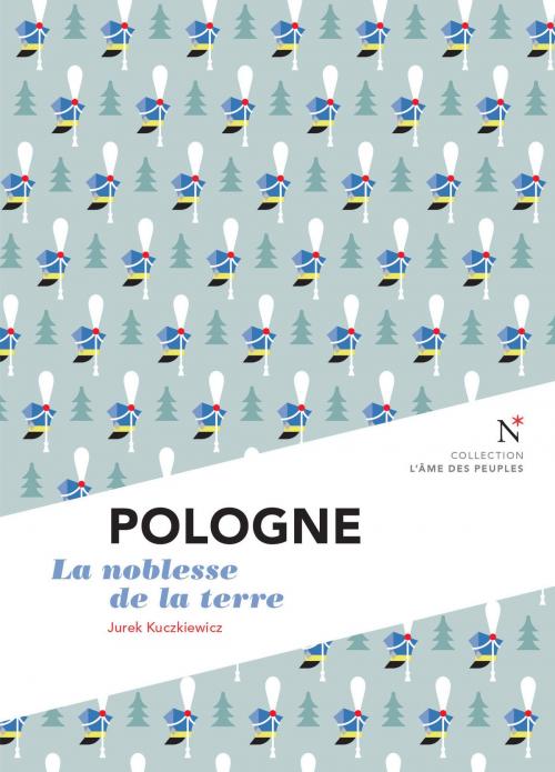Cover of the book Pologne : la noblesse de la terre by Jurek Kuczkiewicz, Nevicata