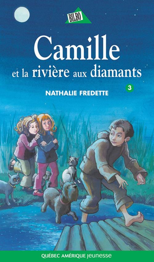 Cover of the book Camille 03 by Nathalie Fredette, Québec Amérique
