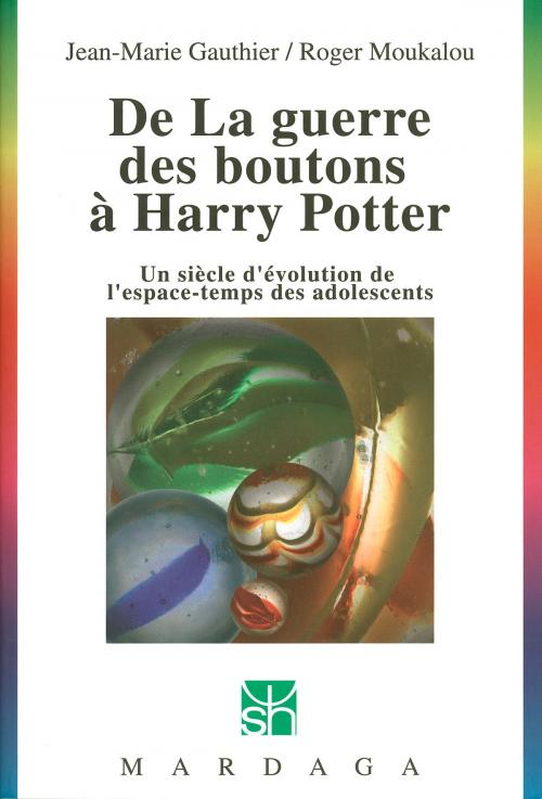 Cover of the book De La guerre des boutons à Harry Potter by Roger Moukalou, Jean-Marie Gauthier, Mardaga