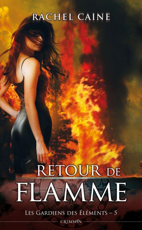Cover of the book Les gardiens des éléments T05 by Rachel Caine, Panini