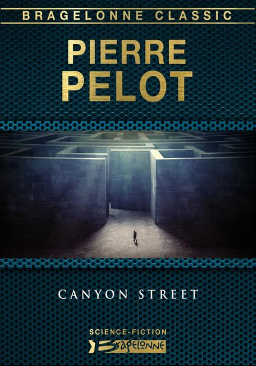 Cover of the book Canyon Street by Pierre Pelot, Bragelonne