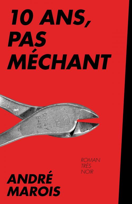 Cover of the book 10 ans, pas méchant by André Marois, La courte échelle