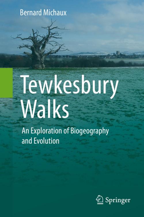 Cover of the book Tewkesbury Walks by Bernard Michaux, Springer International Publishing