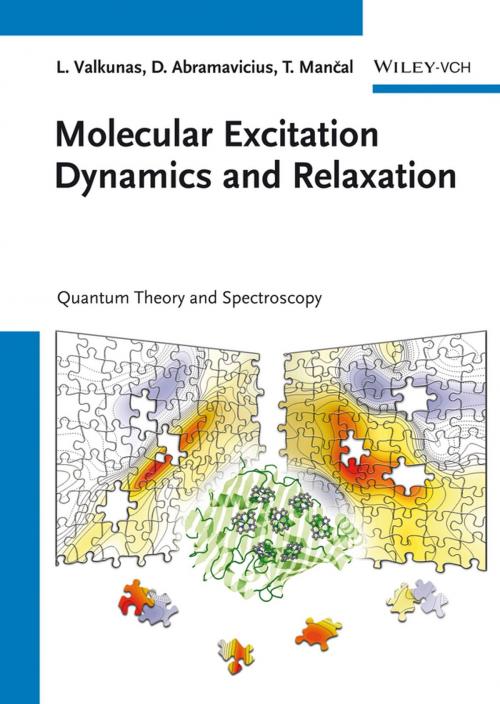 Cover of the book Molecular Excitation Dynamics and Relaxation by Leonas Valkunas, Darius Abramavicius, Tomás Mancal, Wiley