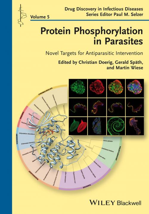 Cover of the book Protein Phosphorylation in Parasites by Paul M. Selzer, Wiley