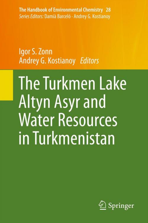 Cover of the book The Turkmen Lake Altyn Asyr and Water Resources in Turkmenistan by , Springer Berlin Heidelberg