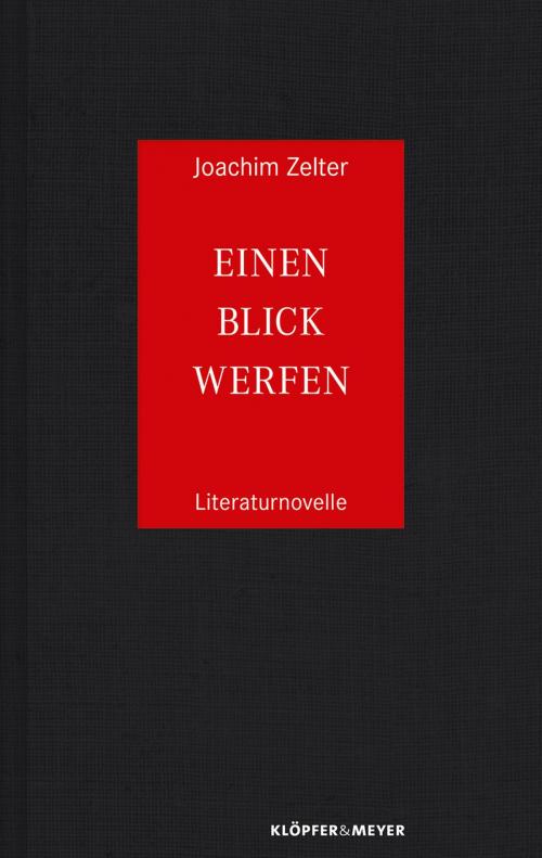 Cover of the book Einen Blick werfen by Joachim Zelter, Klöpfer & Meyer Verlag