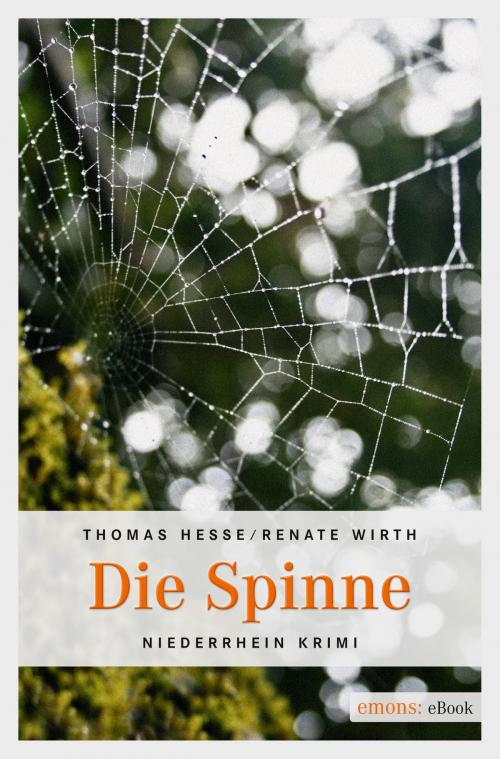 Cover of the book Die Spinne by Thomas Hesse, Renate Wirth, Emons Verlag