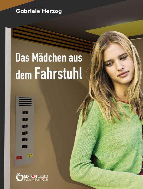 Cover of the book Das Mädchen aus dem Fahrstuhl by Gabriele Herzog, EDITION digital