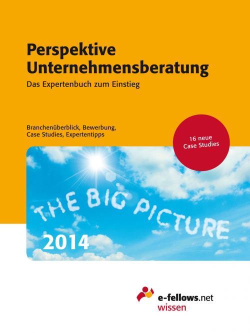 Cover of the book Perspektive Unternehmensberatung 2014 by , e-fellows.net