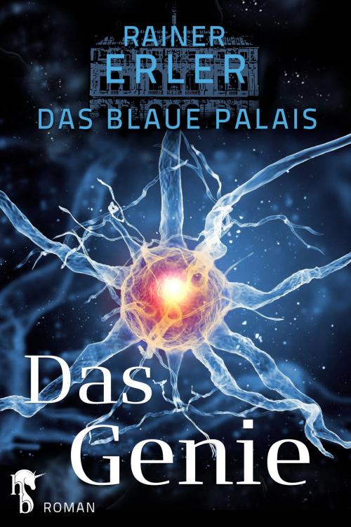 Cover of the book Das Blaue Palais 1 by Rainer Erler, hockebooks