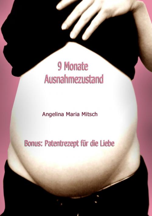 Cover of the book 9 Monate Ausnahmezustand by Angelina Maria Misch, Torsten Peters, Hierophant Verlag