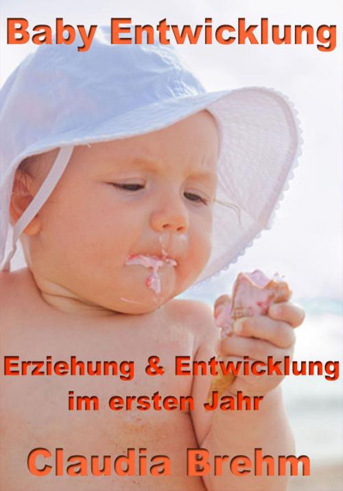 Cover of the book Baby Entwicklung - Erziehung & Entwicklung im ersten Jahr by Claudia Brehm, JoelNoah S.A.