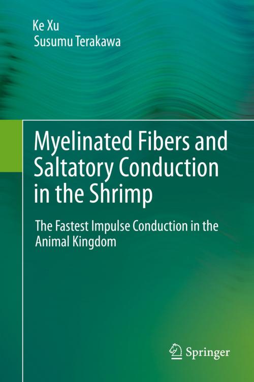 Cover of the book Myelinated Fibers and Saltatory Conduction in the Shrimp by Ke Xu, Susumu Terakawa, Springer Japan