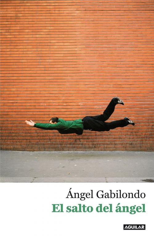 Cover of the book El salto del ángel. Palabras para comprendernos by Ángel Gabilondo, Penguin Random House Grupo Editorial España