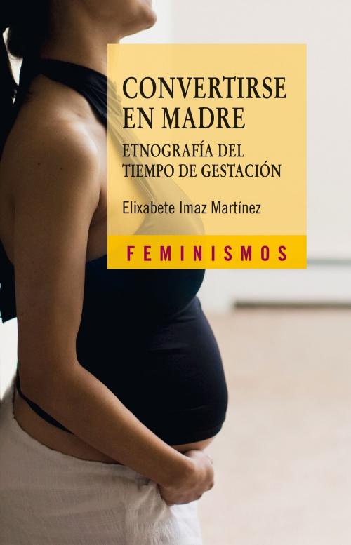 Cover of the book Convertirse en madre by Elixabete Imaz, Ediciones Cátedra