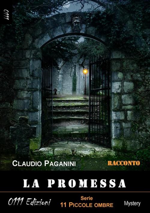 Cover of the book La promessa by Claudio Paganini, 0111 Edizioni
