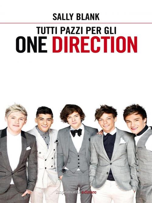 Cover of the book Tutti pazzi per gli One Direction by Sally Blank, Imprimatur