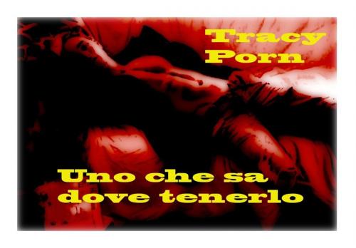 Cover of the book Uno che sa dove tenerlo by Tracy Porn, Tracy Porn