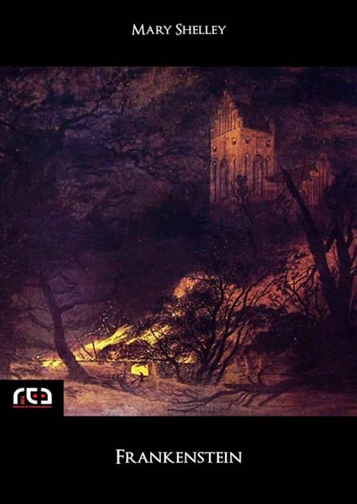 Cover of the book Frankenstein by Mary Shelley, REA Multimedia