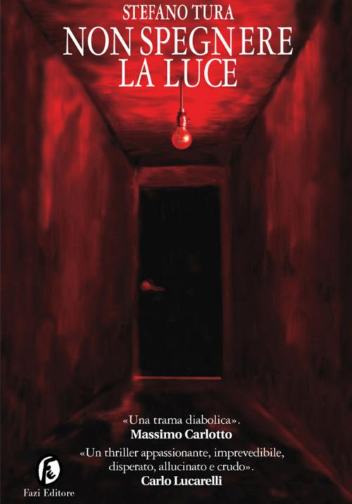 Cover of the book Non spegnere la luce by Stefano Tura, Fazi Editore