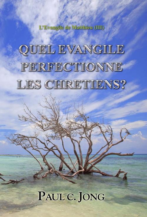 Cover of the book L’Evangile de Matthieu (III) - QUEL EVANGILE PERFECTIONNE LES CHRETIENS? by Paul C. Jong, Hephzibah Publishing House