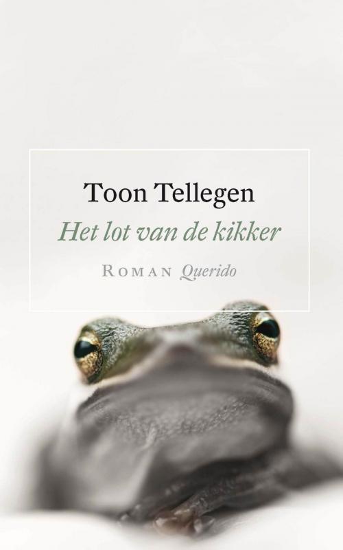 Cover of the book Het lot van de kikker by Toon Tellegen, Singel Uitgeverijen
