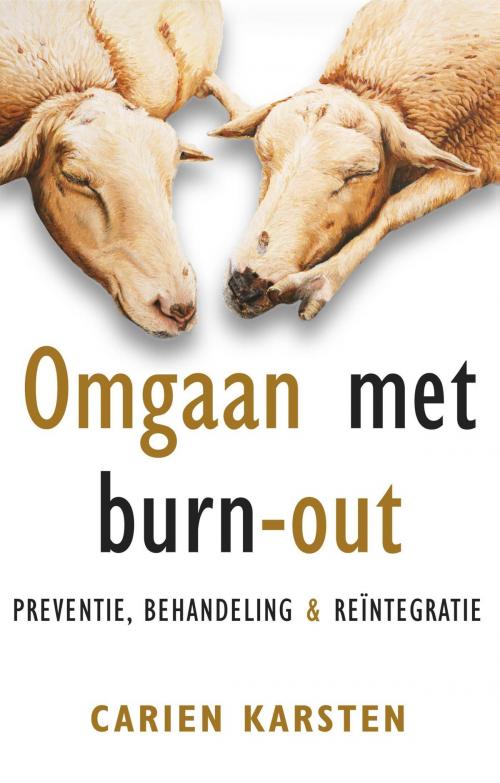 Cover of the book Omgaan met burn-out by Carien Karsten, VBK Media