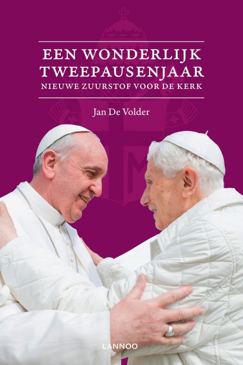 Cover of the book Een wonderbaarlijk tweepausenjaar by Jan de Volder, Terra - Lannoo, Uitgeverij