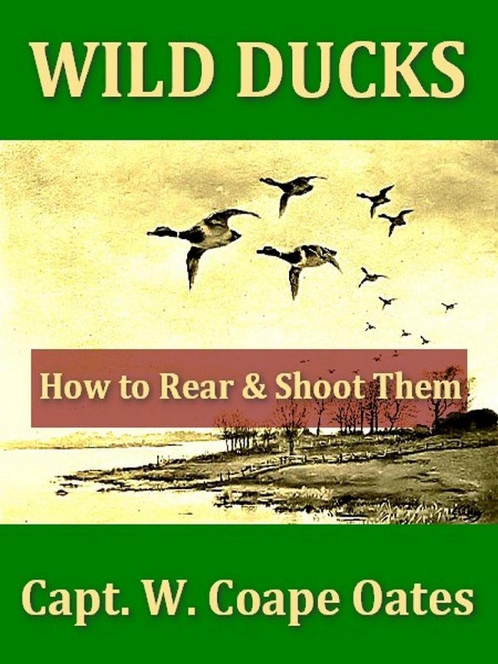 Big bigCover of Wild Ducks, How to Rear and Shoot Them