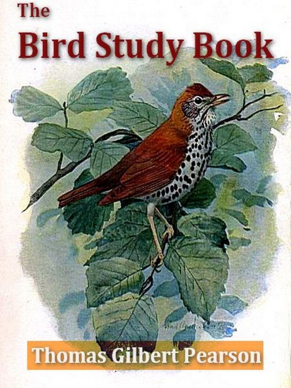 Big bigCover of The Bird Study Book