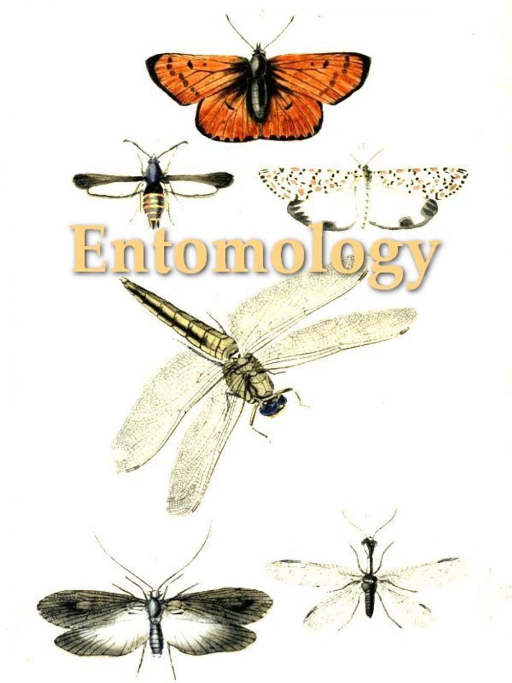 Big bigCover of An Introduction to Entomology: Or Elements of the Natural History of Insects, Fifth Edition, Volume 1 (of 4)
