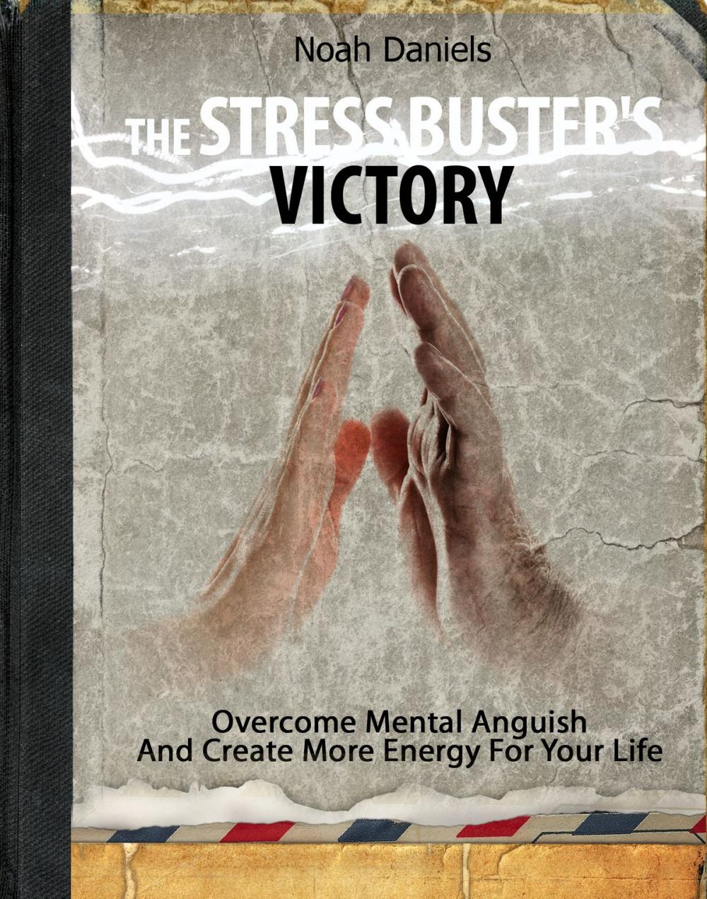 Big bigCover of The Stress Buster's Victory